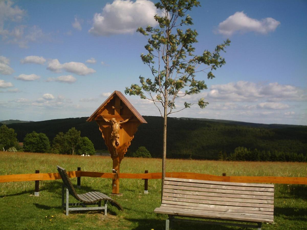 Aussichtsbauernhofpension Hof Gretchens Винтерберг Екстериор снимка