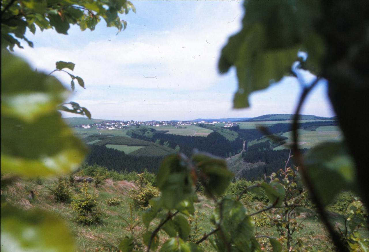 Aussichtsbauernhofpension Hof Gretchens Винтерберг Екстериор снимка